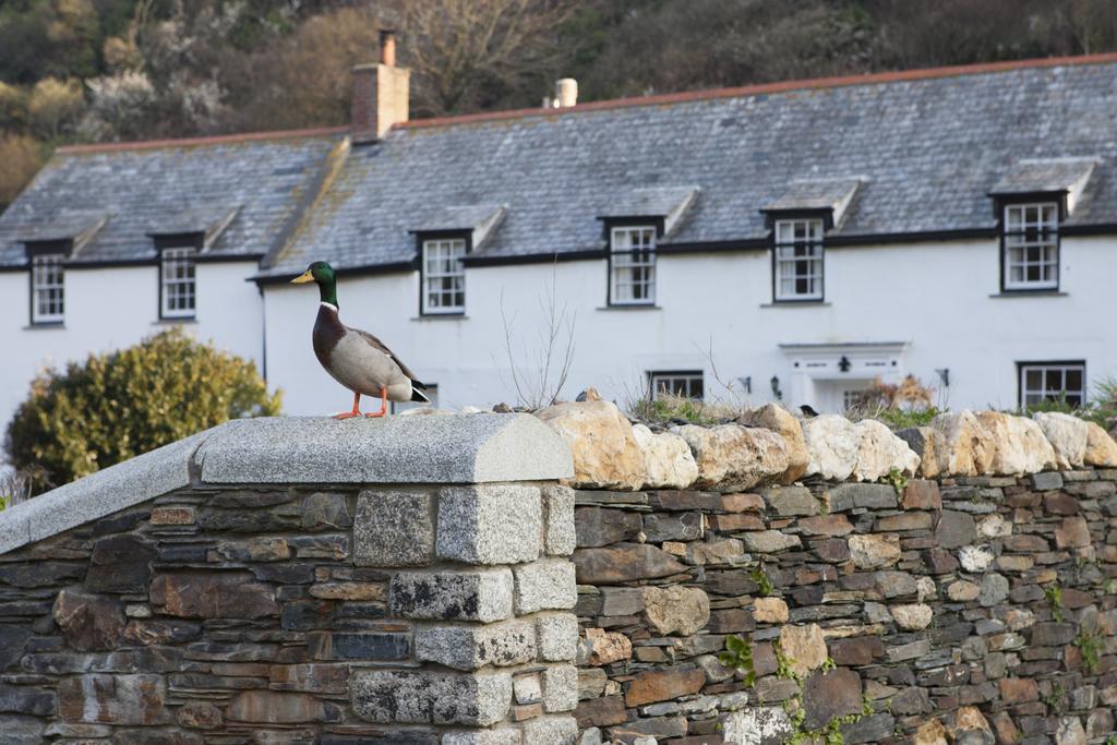 The Wellington Hotel Boscastle Kültér fotó